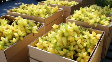 frisch gepflückt Karambola Obst von Garten platziert im das Boxen. generativ ai foto