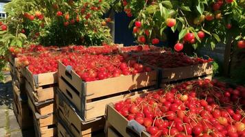 frisch gepflückt Krabbe Äpfel Obst von Garten platziert im das Boxen. generativ ai foto