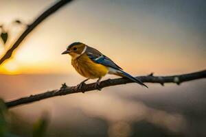 ein Vogel Sitzung auf ein Ast beim Sonnenuntergang. KI-generiert foto
