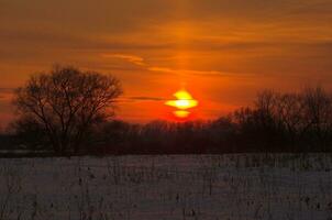 Winter Sonnenuntergang Schnee foto