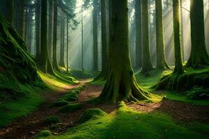 ein Wald mit Bäume und moosig Boden. KI-generiert foto