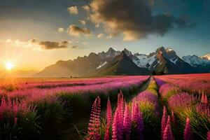 ein Feld von lila Blumen und Berge beim Sonnenuntergang. KI-generiert foto