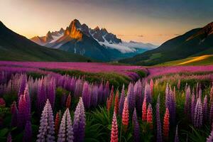 das Lupine Feld im das Berge. KI-generiert foto