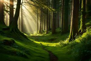 ein Pfad durch ein Wald mit Sonnenlicht leuchtenden durch das Bäume. KI-generiert foto