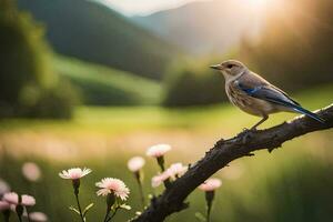 Foto Hintergrund das Himmel, Blumen, Vogel, Natur, Vogel, Vogel, Vogel, Vogel,. KI-generiert