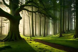 ein Pfad durch ein Wald mit Bäume und Gras. KI-generiert foto