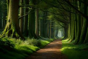 ein Pfad durch ein Wald mit Bäume und Grün Gras. KI-generiert foto