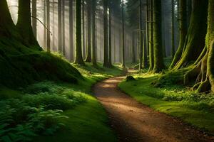 ein Pfad durch ein Wald mit hoch Bäume. KI-generiert foto