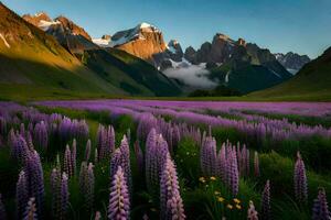 das Lupine Felder von das Alpen. KI-generiert foto