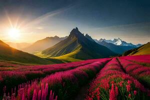 das Sonne steigt an Über ein Feld von Rosa Blumen im das Berge. KI-generiert foto