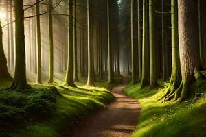 ein Pfad durch ein Wald mit Bäume und Gras. KI-generiert foto