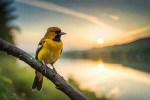 ein Gelb Vogel sitzt auf ein Ast in der Nähe von ein See. KI-generiert foto