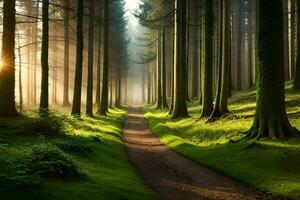 ein Pfad durch ein Wald mit Bäume und Sonne. KI-generiert foto