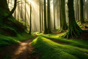 ein Pfad durch ein Wald mit Grün Bäume. KI-generiert foto