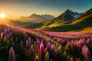 das Sonne steigt an Über ein Feld von lila Blumen. KI-generiert foto