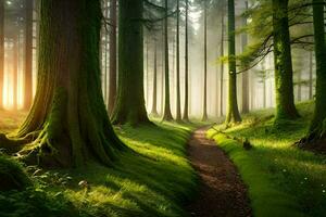 ein Pfad durch ein Wald mit Bäume und Gras. KI-generiert foto