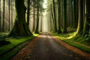 ein Straße durch ein Wald mit Bäume und Sonnenstrahlen. KI-generiert foto