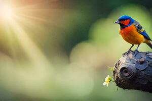 Foto Hintergrund Vogel, das Sonne, das Vogel, das Sonne, das Vogel, das Sonne,. KI-generiert