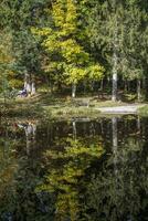 Reflexionen auf das See boedelesee foto