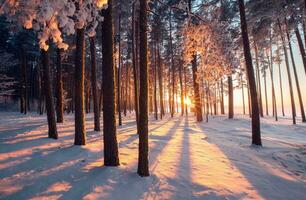 schön Winter saisonal Hintergrund Frost und Schnee auf Geäst Winter Landschaft Foto