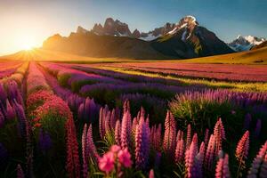 das Sonne steigt an Über ein Feld von lila Blumen und Berge. KI-generiert foto