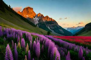 das Lupine Feld im das Berge. KI-generiert foto