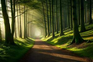 ein Pfad durch ein Wald mit Bäume und Sonnenstrahlen. KI-generiert foto