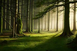 ein Wald mit Bäume und Gras im das Sonnenlicht. KI-generiert foto