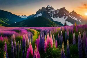 ein schön Feld von lila Blumen und Berge beim Sonnenuntergang. KI-generiert foto