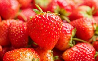 frisch organisch rot Erdbeere Obst Hintergrund foto