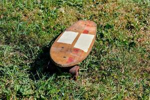 ein Skateboard mit ein Aufkleber auf es im das Gras foto