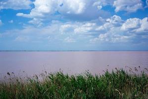 weiße Wolken über dem rosa Salzsee foto