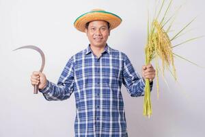 asiatisch Farmer im ein gestreift Hemd halten ein Sichel und Ernte Reis Körner auf ein Weiß Hintergrund. foto
