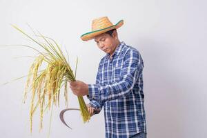 asiatisch Farmer im ein gestreift Hemd halten ein Sichel und Ernte Reis Körner auf ein Weiß Hintergrund. foto