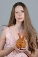 Porträt von ein Teenager Mädchen mit lange blond Haar und ein rot Hase auf ein grau Hintergrund. das Mädchen ist halten ein Hase. foto