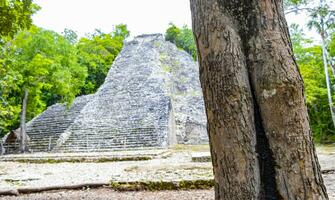 coba Maya Ruinen nohoch mul Pyramide im tropisch Urwald Mexiko. foto