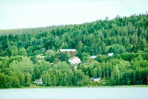 ein See mit ein Haus auf das Ufer und Bäume im das Hintergrund foto