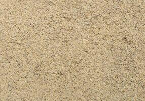 Paddy Reis Samen oder ungemahlen Reis Hintergrund foto