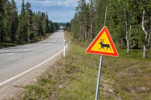 schön szenisch Straße im Norwegen. typisch Warnung Straße Zeichen foto