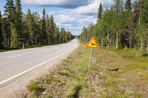 schön szenisch Straße im Norwegen. typisch Warnung Straße Zeichen foto