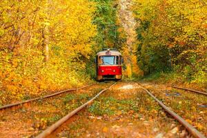 Herbst Wald durch welche ein alt Straßenbahn Fahrten Ukraine foto