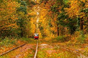 Herbst Wald durch welche ein alt Straßenbahn Fahrten Ukraine foto