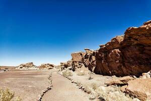 Yerbas buenas archäologisch Seite? ˅ - - Chile. Höhle Gemälde - - Atacama Wüste. san pedro de Atacama. foto