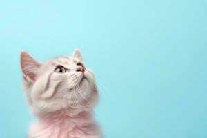 ai generiert Katze auf Pastell- Hintergrund foto