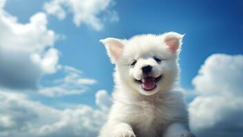 süß Weiß samoyed Hündchen Sitzung auf Blau Himmel Hintergrund. ai generiert. foto