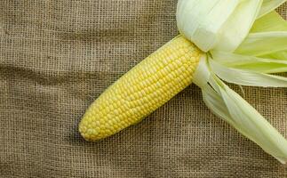 Single Süss Mais Cob auf braun Sackleinen Hintergrund. oben Aussicht foto