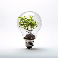Pflanze wachsend Innerhalb die Glühbirne. ein Foto von hoffen und Nachhaltigkeit. ai generativ
