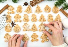 hausgemacht Backen zum Weihnachten. Winter Ferien Konzept. Nahansicht. foto