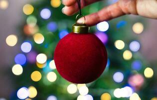 ein Frau Hände halt ein Weihnachten rot Ball zum Weihnachten Baum Dekoration. festlich Stimmung. Nahansicht. selektiv Fokus. foto