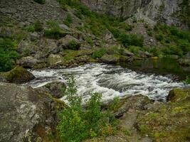 Sommer- Zeit im Norwegen foto